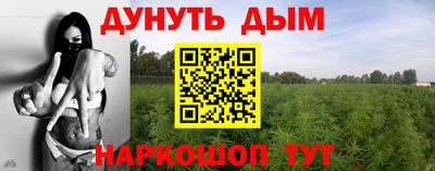 гидропоника Будённовск